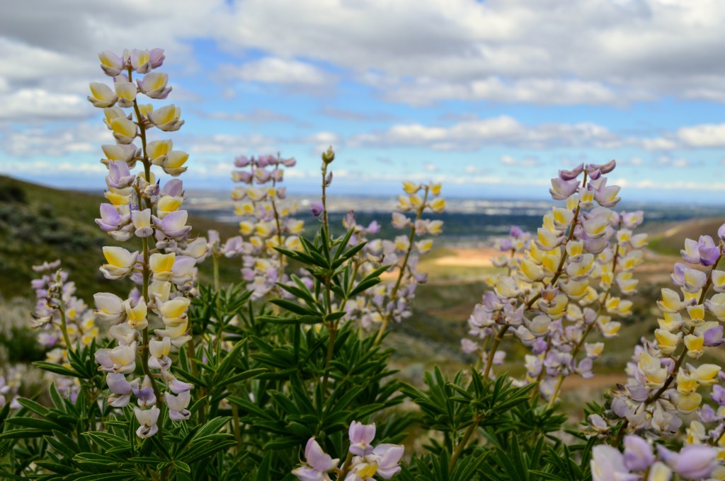 Road Trip Part 2: Boise to Salt Lake&nbsp;City