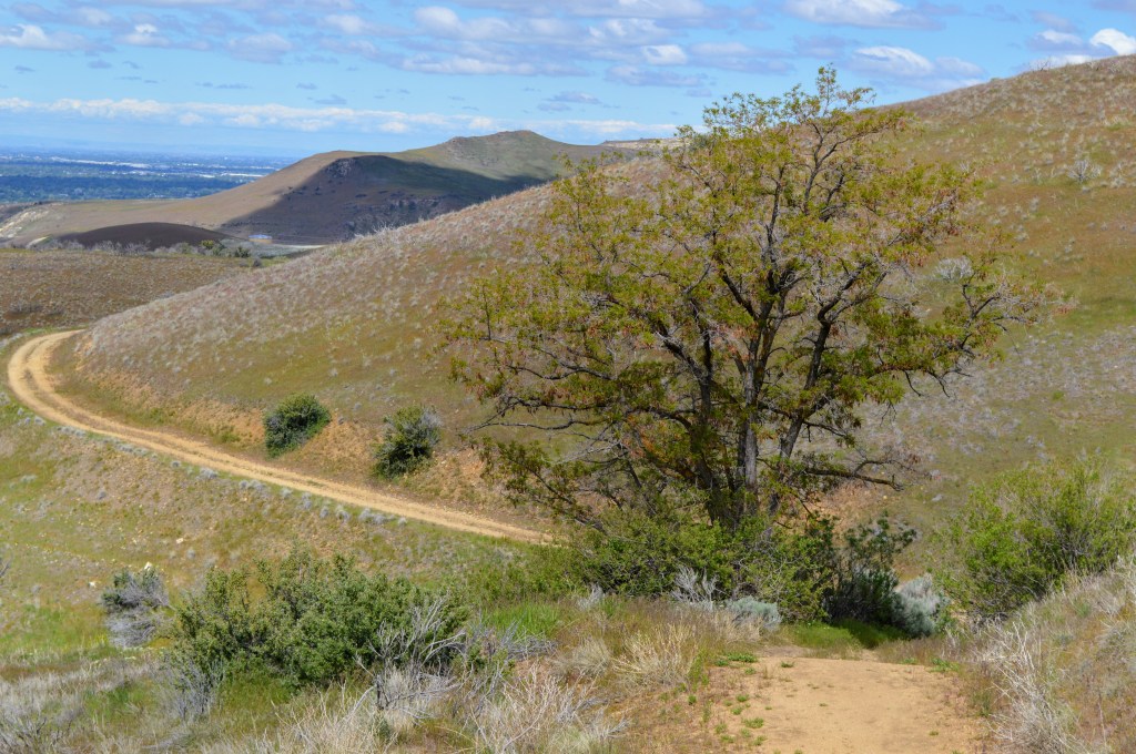 Worth It All and&nbsp;More