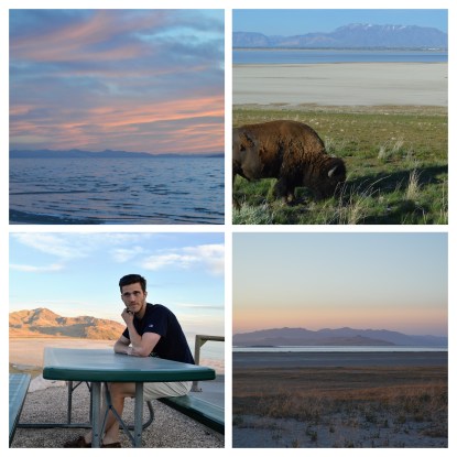Salt Lake Collage